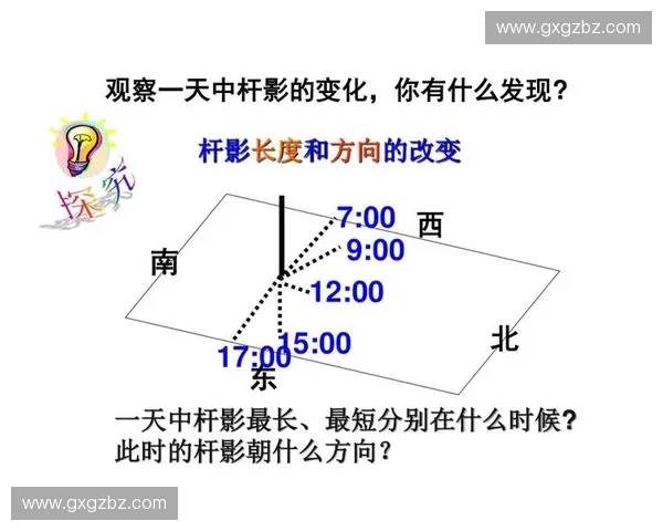 运动负荷曲线在运动科学中的应用与分析方法探讨