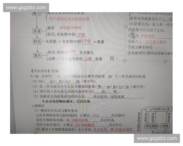 高强度反应过程中的能量转化与物质变化机制研究