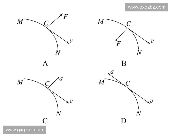 体能循环训练法：提高运动表现与健康的全方位科学方案