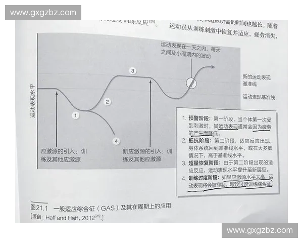 科学化训练周期规划与运动表现提升策略研究